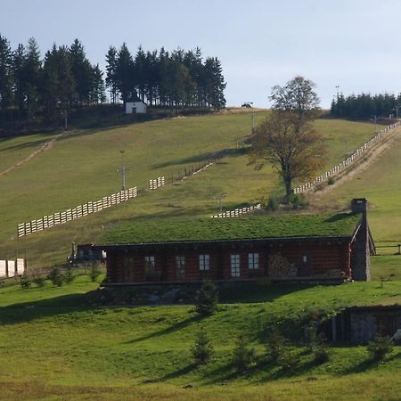 Sruby Haida Ceske Petrovice Zewnętrze zdjęcie